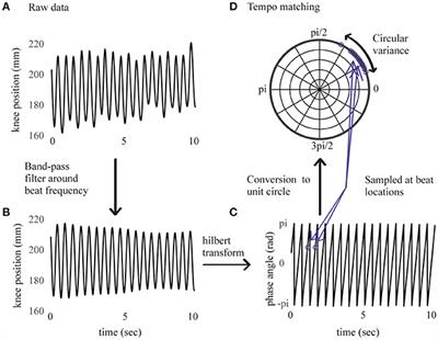 Feeling the Beat: Bouncing Synchronization to Vibrotactile Music in Hearing and Early Deaf People